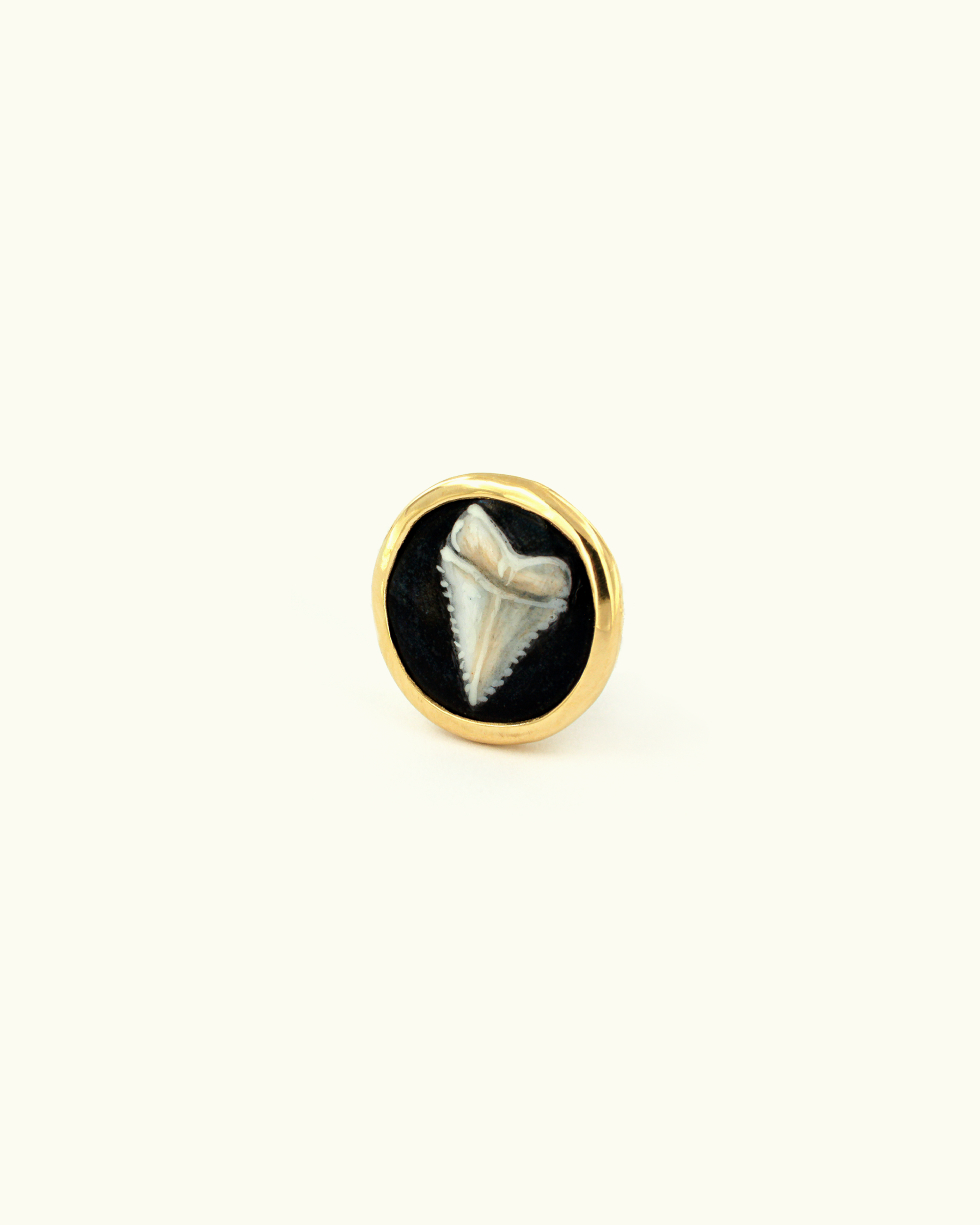 Shark Tooth Nylon Bracelet