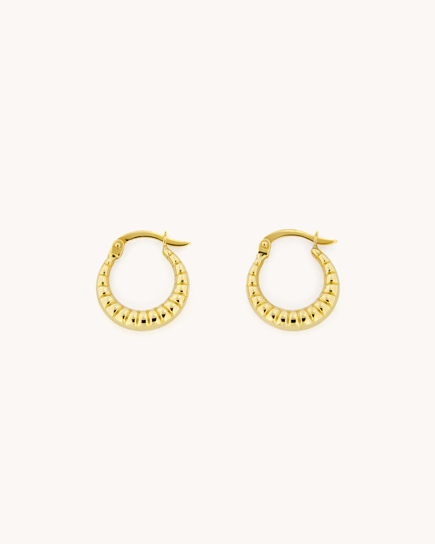 Croissant Hoop Earrings
