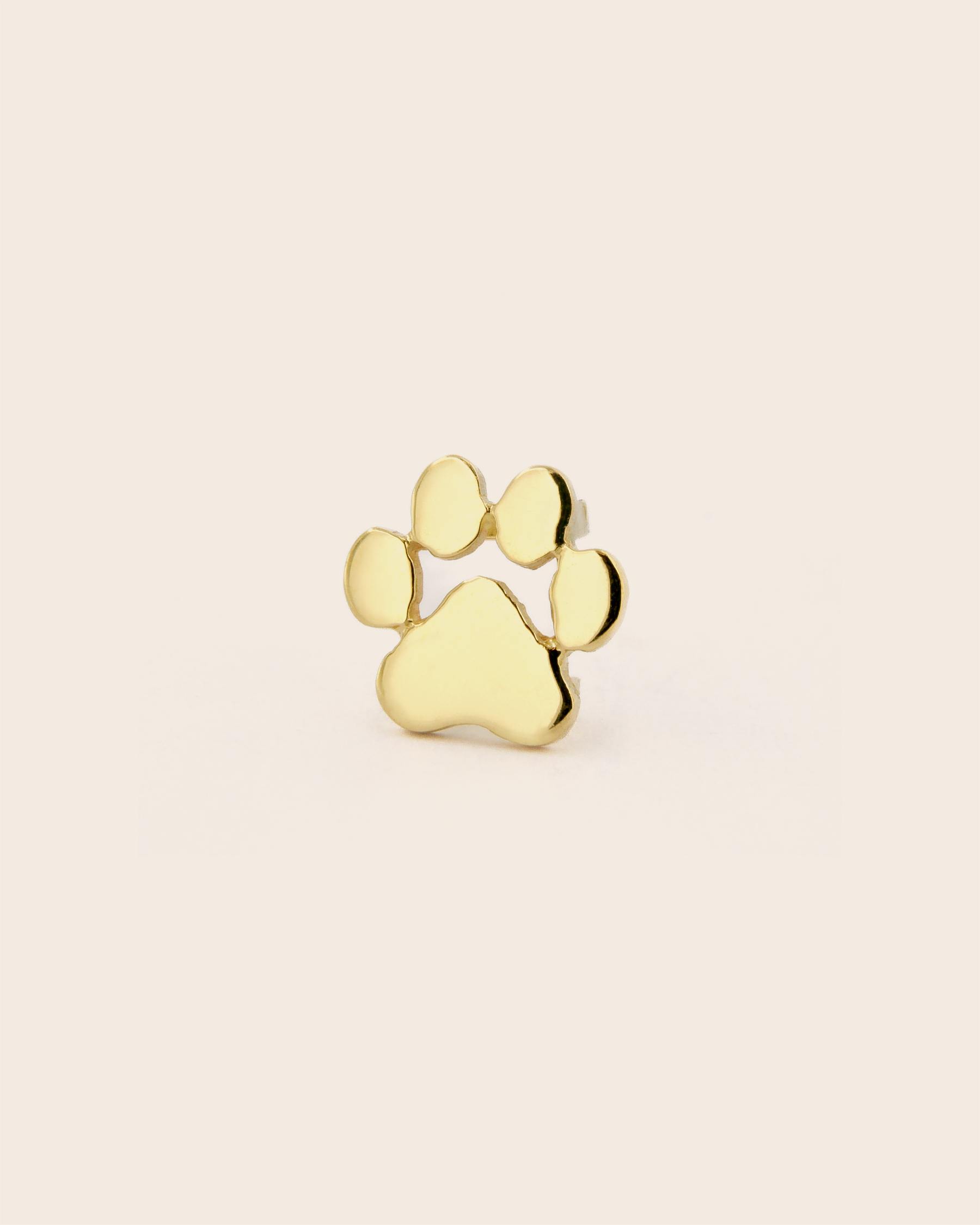 Little Paw Nylon Bracelet