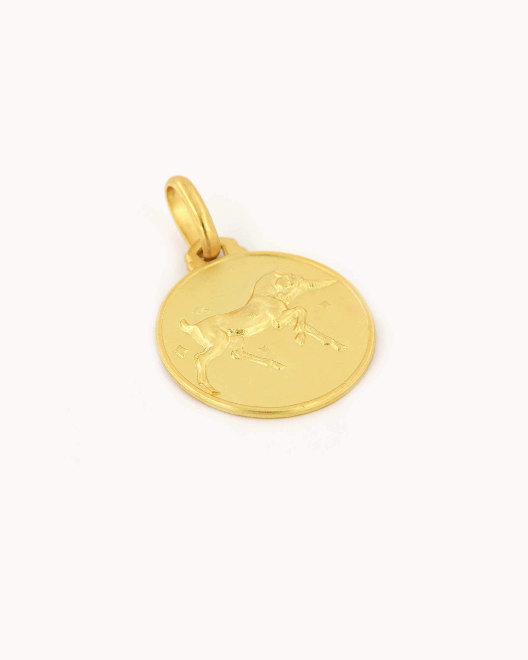 Capricorn Zodiac Small Pedant