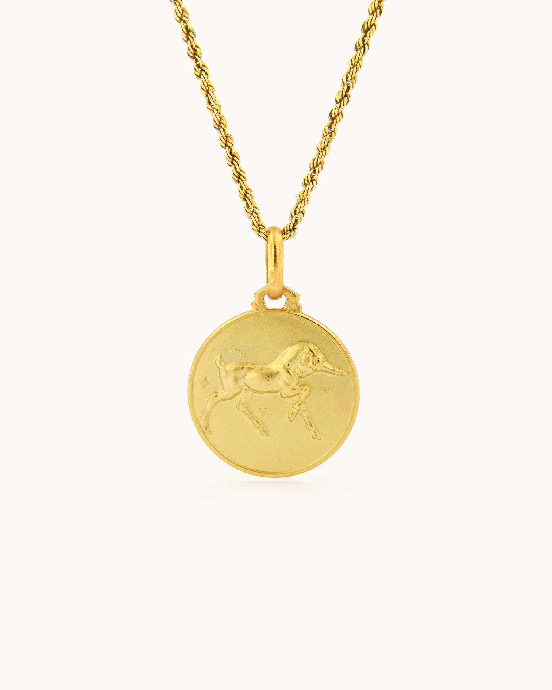 Capricorn Zodiac Small Pedant