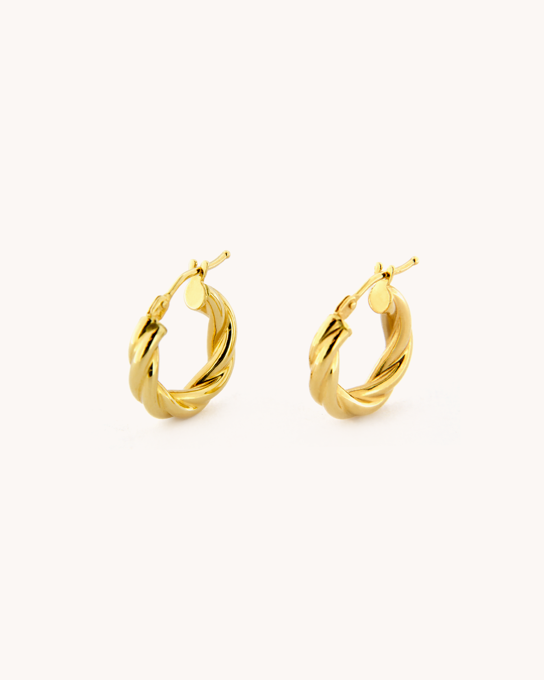 Small Twisted Hoop Earrings