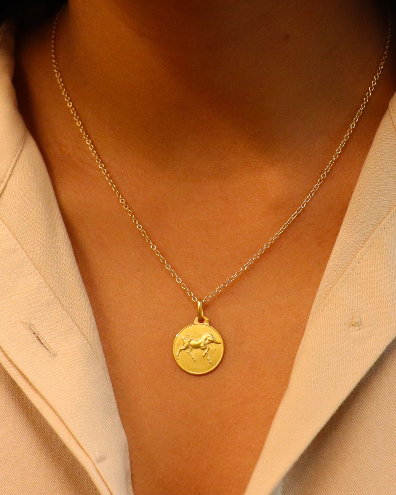 Capricorn Zodiac Small Pedant