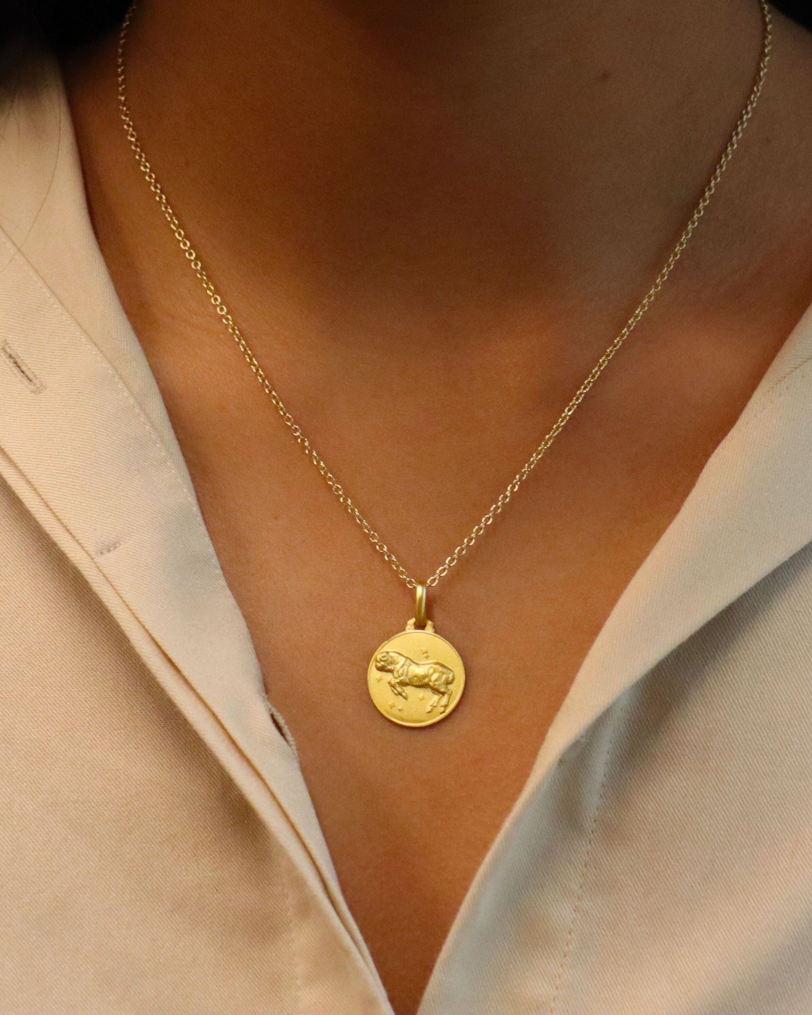 Aries Zodiac Small Pendant