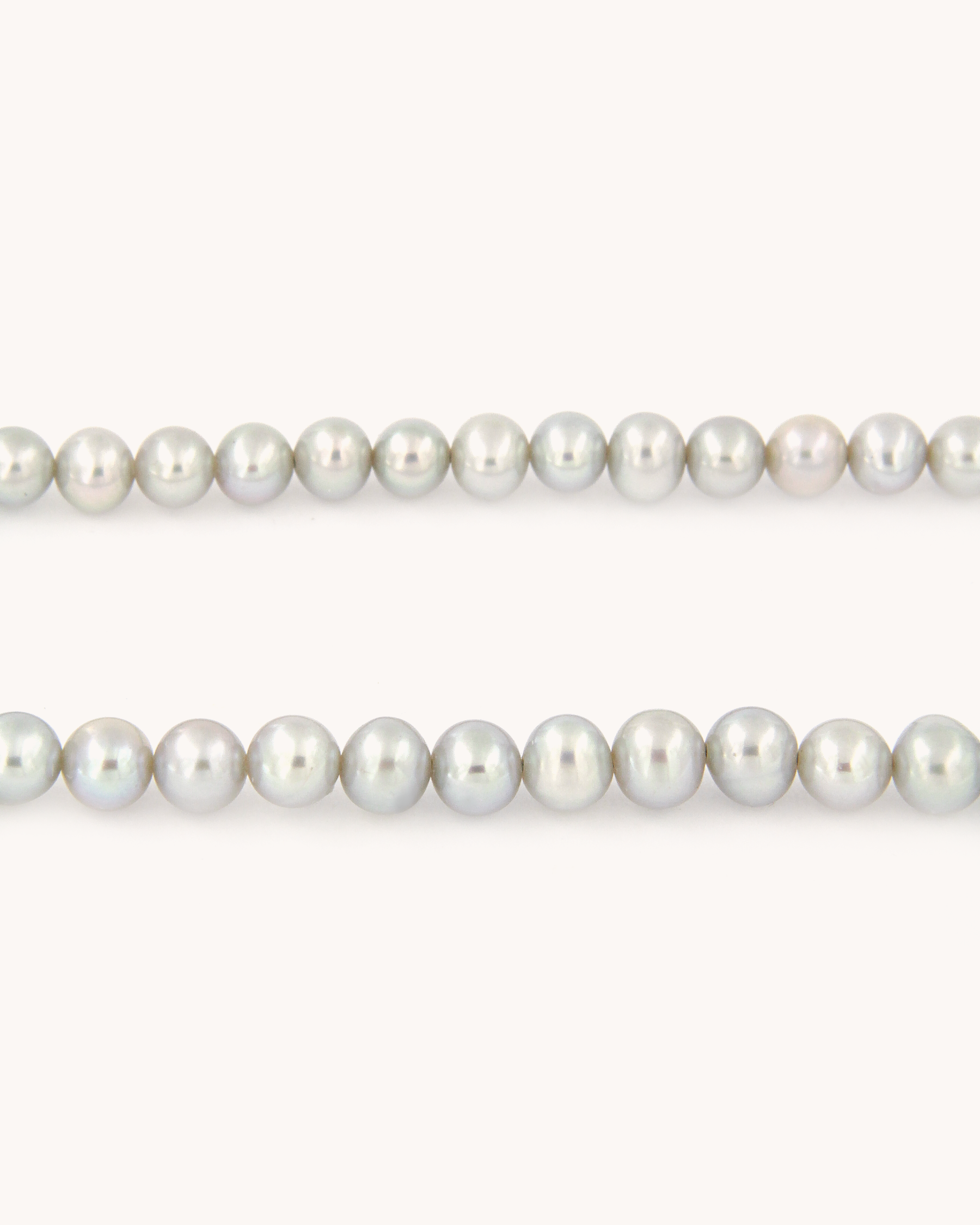 Collana Coloris Conchiglia tra il Grigio Perla