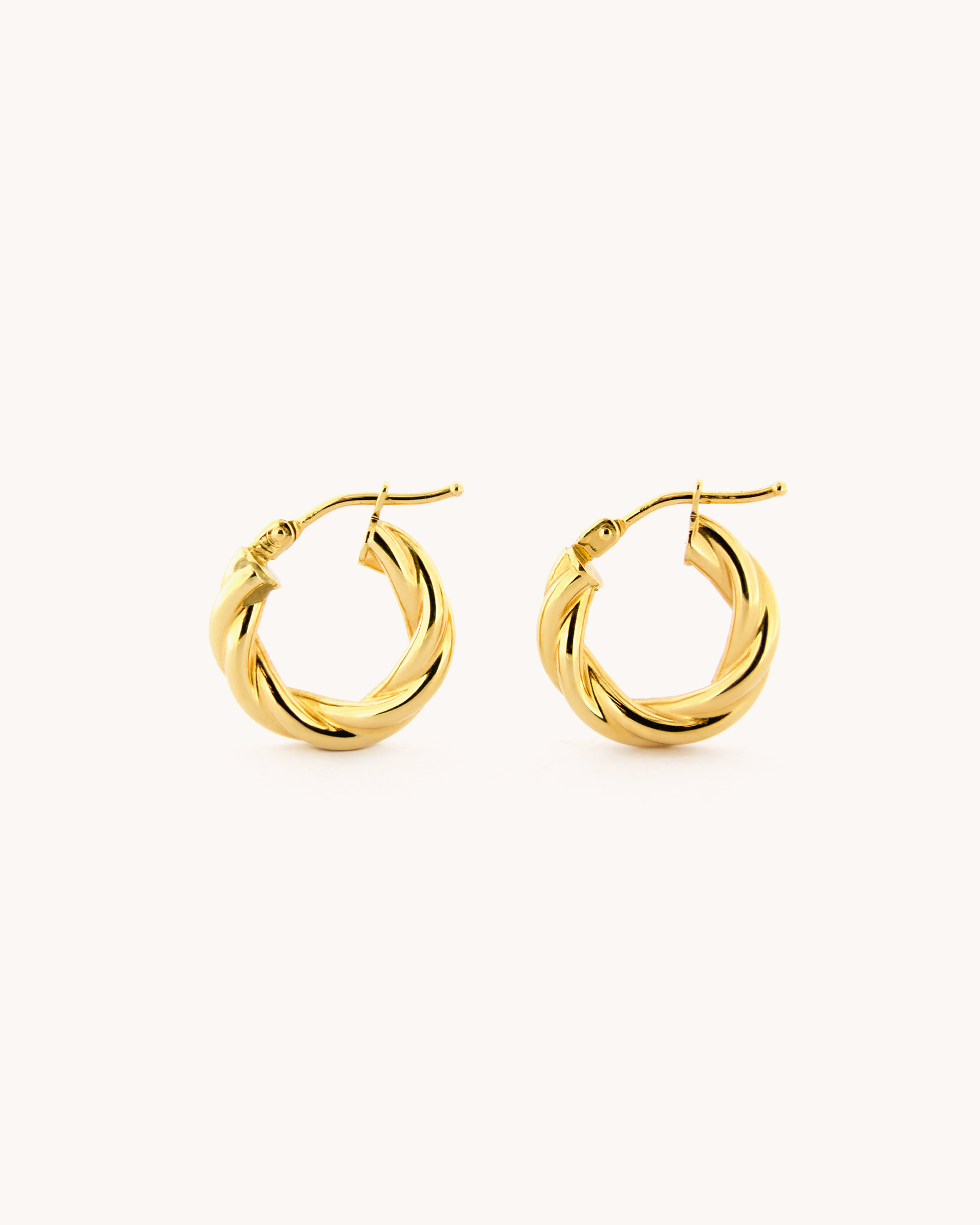 Small Twisted Hoop Earrings